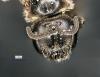 Lasioglossum glabriusculum